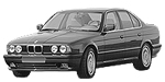 BMW E34 P221D Fault Code